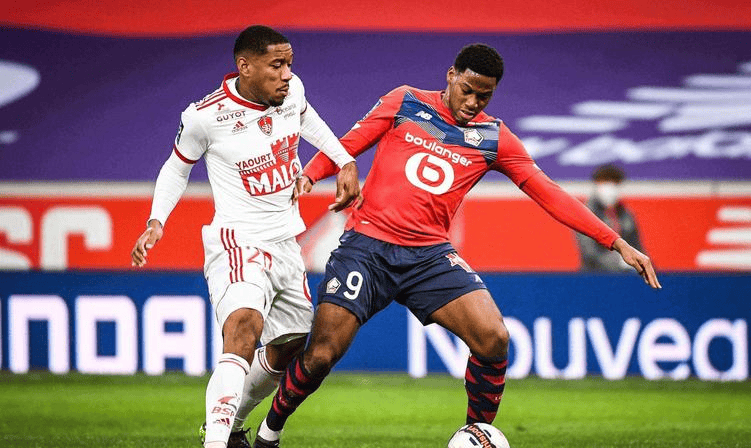 出色的身体 出色的身体