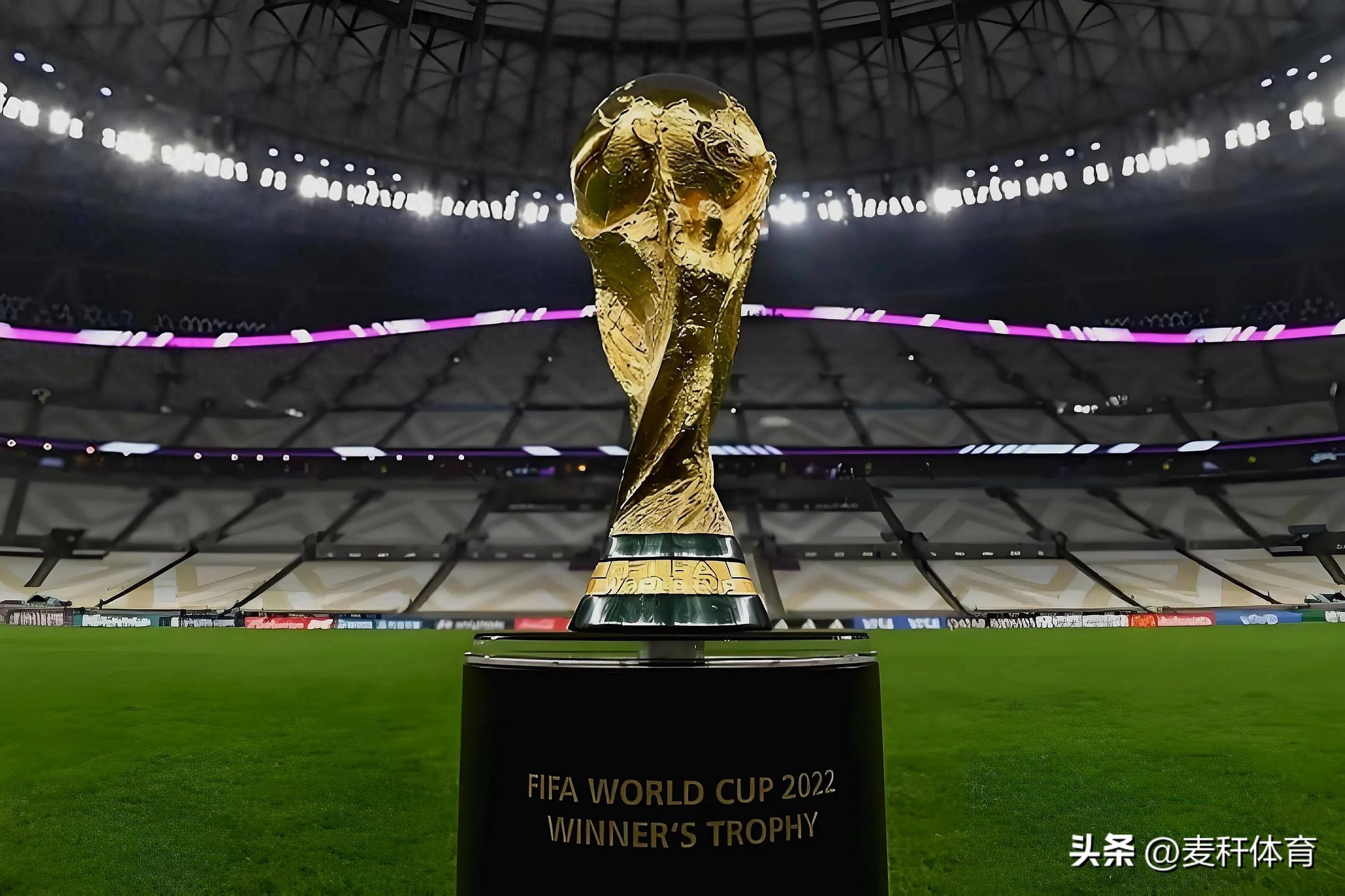 世锦赛桂冠 世锦赛桂冠