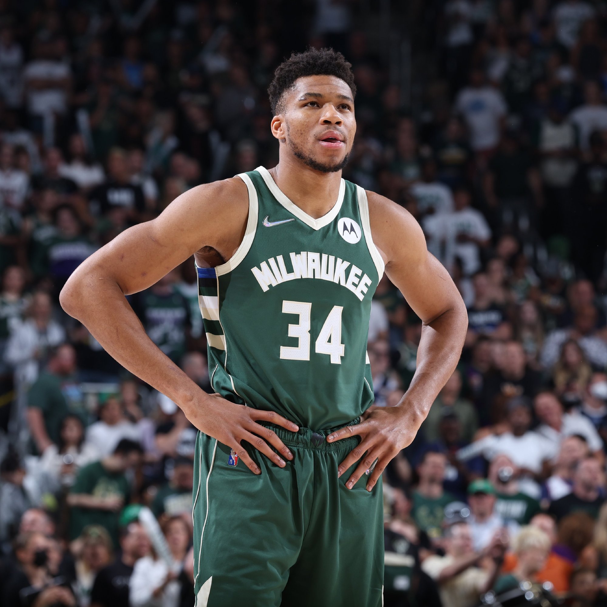 这一日的意 这一日的意